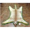 Image 2 : Mountain Lion Rug with Head Mount