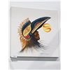 Image 1 : Native Painting Signed Garnet Tobacco