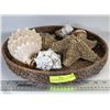 Image 1 : ROUND WICKER BASKET WITH 2 LARGE STAR FISH AND