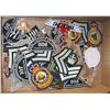 Image 1 : FLAT OF AIR CADET BADGES AND OTHERS