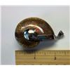 Image 1 : NATURAL AMMONITE FOSSIL PENDANT