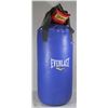 Image 1 : EVERLAST PUNCHING BAG WITH EVERLAST BOXING GLOVES