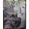 Image 1 : CANVAS WILDERNESS PICTURE W/DEER, BOAR,