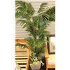 Image 1 : LARGE ARTIFICIAL FLOOR PLANT