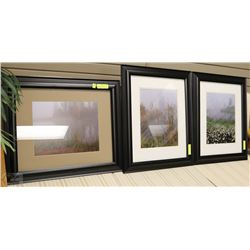 LOT OF 3 MATCHING PICTURES OF OVERLOOKING A POND