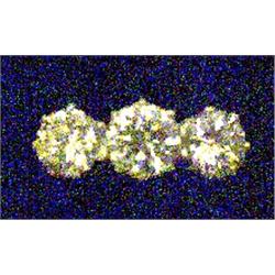 A three stone ring, set brilliant cut diamonds. Total diamond weight 0.75ct. Stamped 18ct. £400-4...