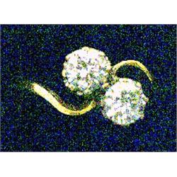 A two stone ring, set with brilliant cut diamonds, each measuring approx 0.50ct. Hall marked 18ct...