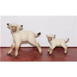 Beswick Lambs