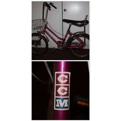 Choice Banana Seat Bikes