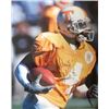 Image 1 : Donte' Stallworth Signed Tennessee Vols 16X20 Photo