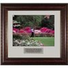 Image 1 : Tiger Woods Unsigned 2002 Masters Azaleas #13 11X14 Photo Leather Framed