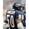 Image 1 : Mike Singletary Signed Chicago Bears 16X20 Photo HOF 98