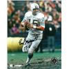 Image 1 : Earl Morrall Signed Miami Dolphins 8X10 Photo 17-0