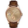 Image 1 : IWC  Portugieser Tourbillion Hand Bound Limited Edition Metropolitan Boutique  Men Watch