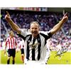 Image 1 : Alan Shearer Signed Close Up Celebrating 16X20 Photo ( Icons Auth/Third Party Holo)