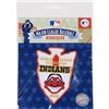 Image 1 : 1948 World Series Patch-Cleveland Indians