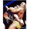 Image 1 : Hulk Hogan Vs. Andre The Giant 8X10 Photograph