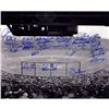 Boston Red Sox Multi Signed B&W "Fenway Park- Horizontal" 16X20 Photo Fisk/Evans/Lonborg/George Scot