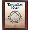 Image 1 : Tampa Bay Rays Game Used Base 11X14 Stadium Collage
