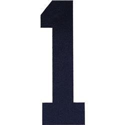 Yankee Number 1 For Bernie Williams