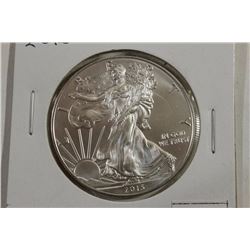 2013 AMERICAN SILVER EAGLE UNC