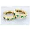 Image 1 : 0.40 ctw Diamond and Emerald Earrings - 14KT Yellow Gold