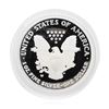 Image 2 : 2004 American Eagle 1oz. Silver Proof Coin