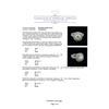 Image 5 : EGL Cert 3.54 ctw Diamond Ring - 14KT White Gold