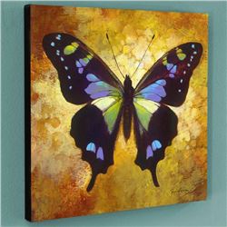 Pandora by Bull, Simon