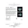 Image 5 : GIA Cert 8.92 ctw Emerald and Diamond Ring - 14KT White Gold