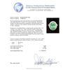 Image 5 : GIA Cert 9.66 ctw Emerald and Diamond Ring - 14KT White Gold