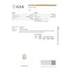 Image 6 : GIA Cert 9.66 ctw Emerald and Diamond Ring - 14KT White Gold