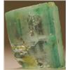 2.22ct Certified Emerald of Old Collection: Free Shipping(20)