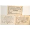 Image 2 : Pacific Coast Steamship Company Annual Pass Trio (1890s)