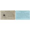 Image 2 : Northern Express & Northern Pacific Express Company Passes