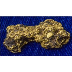 Alaska Pure Gold found in Porcupine Creek