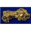 Image 1 : Alaska Pure Gold found in Porcupine Creek