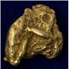 Image 1 : Gold Nugget from Porcupine Creek in the Bering Sea