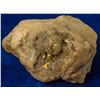 Image 1 : Large Big Bear Gold in Quartz Specimen