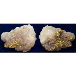 Gold in Quartz Northern California Gold Nugget