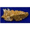 Image 1 : Gold in Quartz from the Eagle's Nest Mine in Placer County