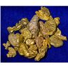 Image 1 : East Fork, San Gabriel River Gold Nugget (larger) Collection