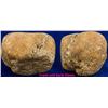 Image 1 : Large Idaho Gold Specimen