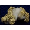 Image 1 : Beautiful Josephine County Gold in Quartz Specimen