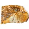 Image 1 : Colorado Gold in Quartz