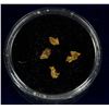 Image 1 : Little Jonny Mine Gold Chips