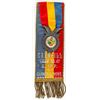 Image 1 : Medal/Ribbon Garneill Lodge, No. 47