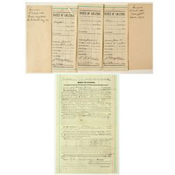 Montana Mining Surveys