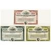 Image 1 : International Mercantile Marine Corp. (owner of Titanic) Stock Certificates
