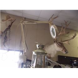 LIGHT WITH MAGNIFYING GLASS AND MOUNT